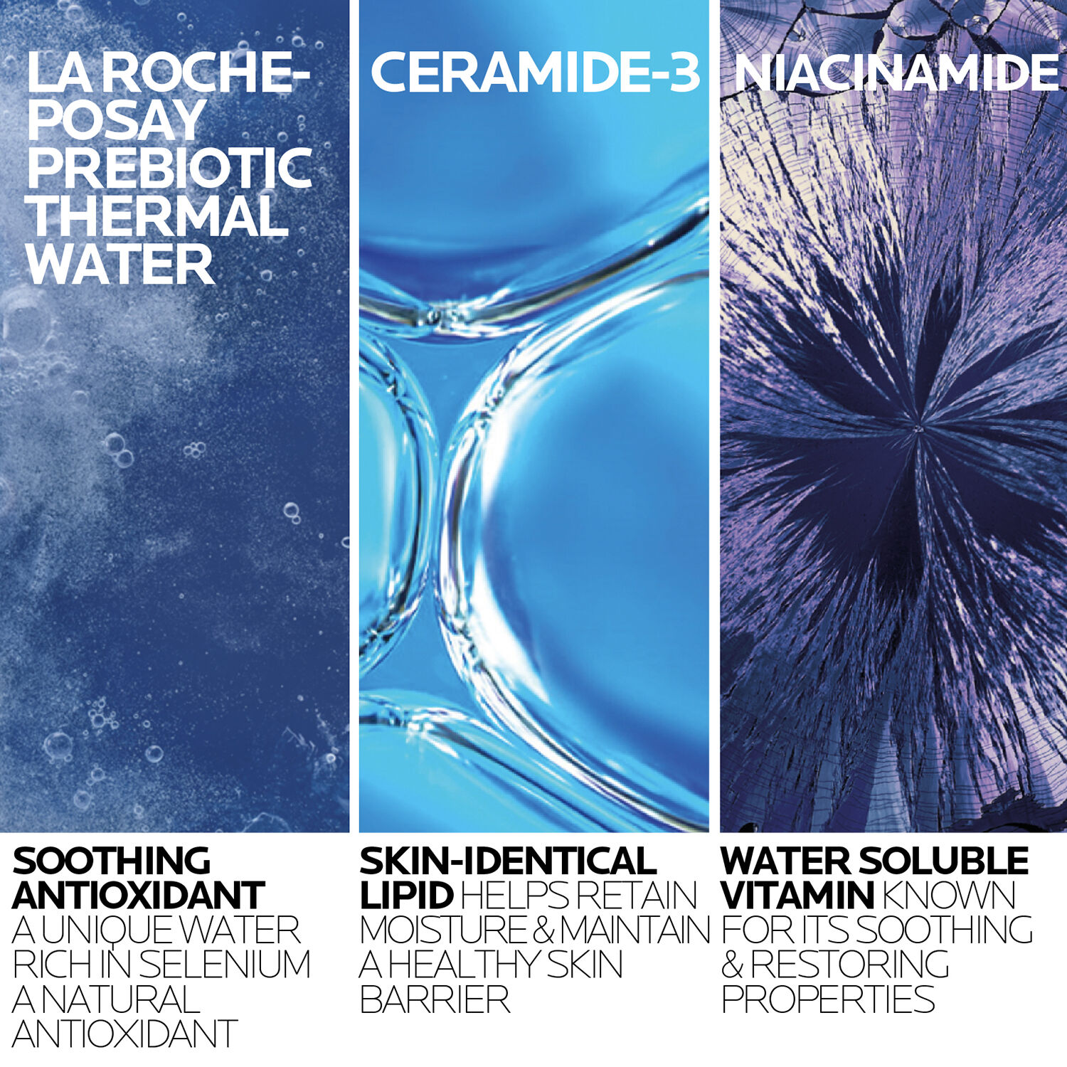 2-TolerianeCleanserUSRefill-400ml-ATF20Ingredient20Science-Rev-1.jpg